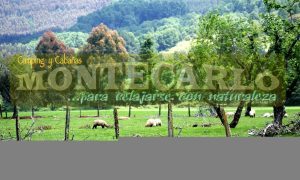 Camping Montecarlo