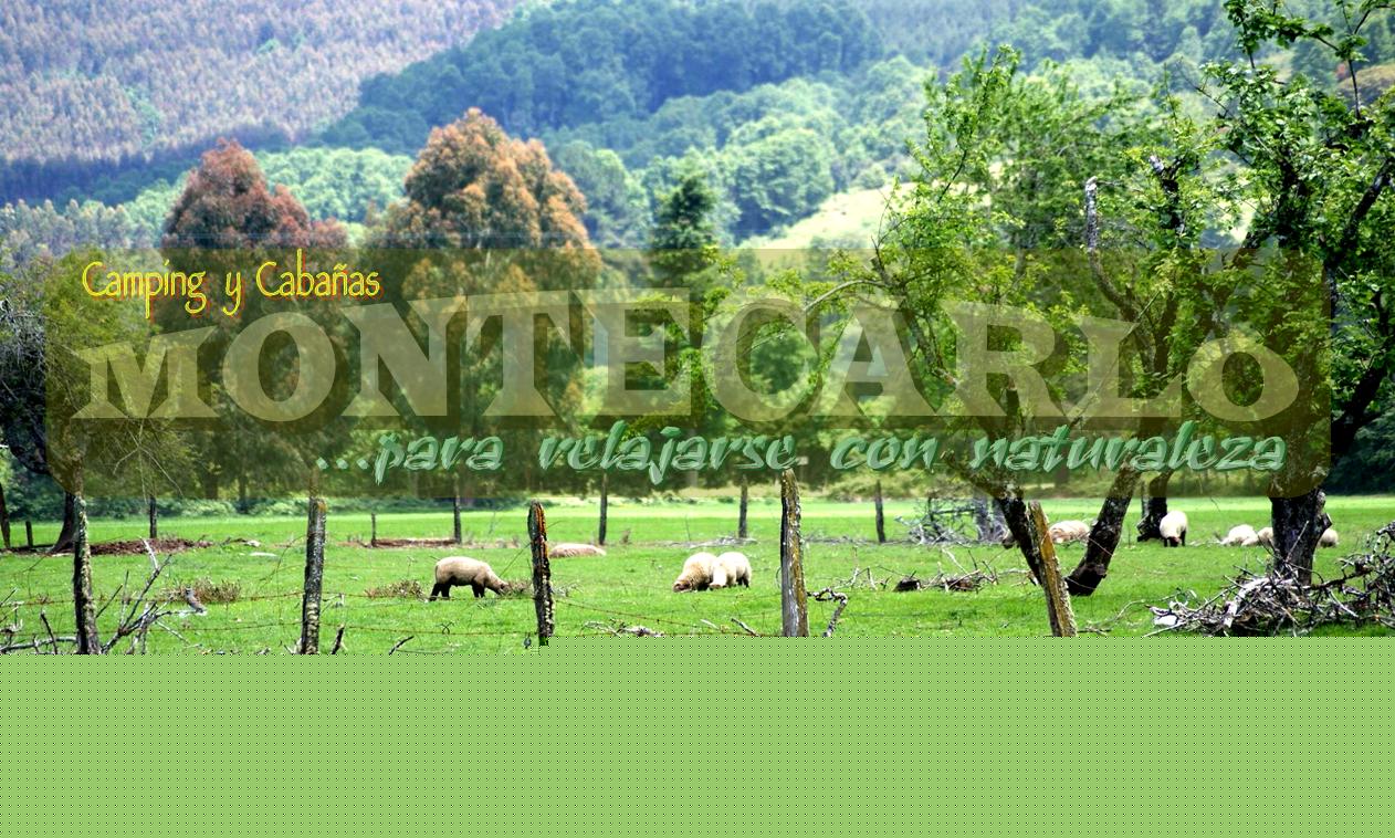 Camping Montecarlo