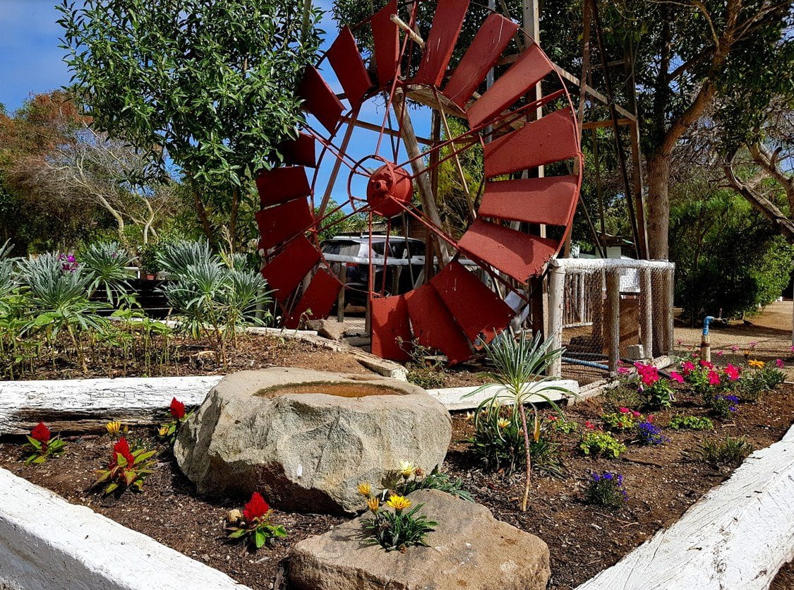 camping la herradura4