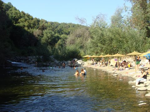 DSC02686