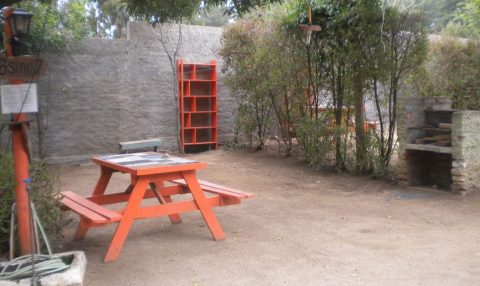 camping-pequeno-bosque