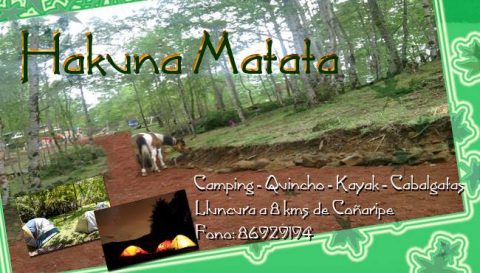 Hakunna-Matata