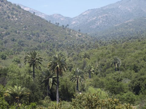 camping parque nacional al campana