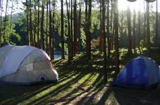 Camping Las Compuertas de Remulcao