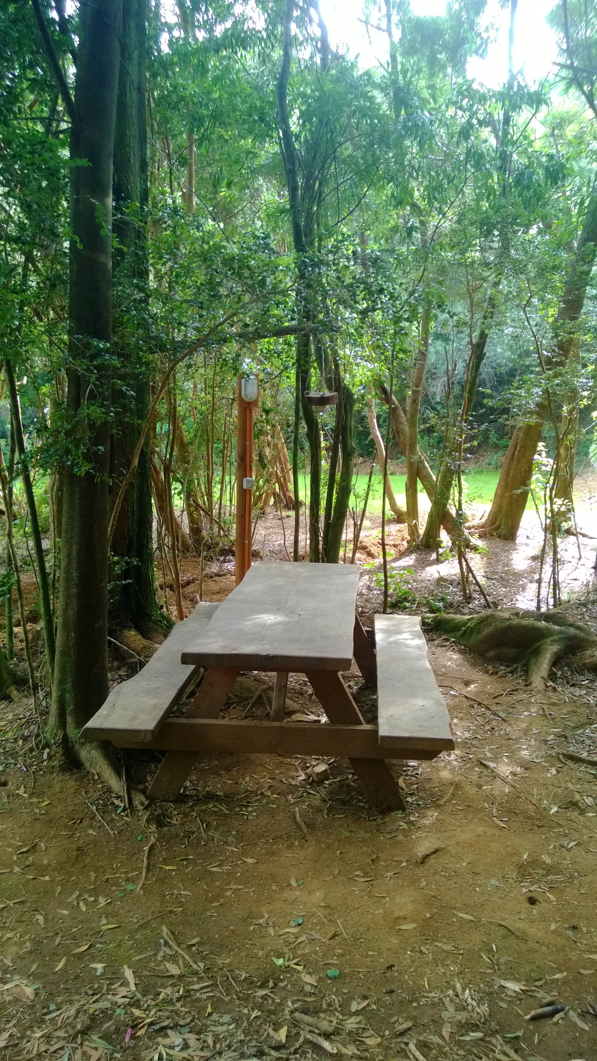 WP_20150112_10_23_53_Pro1