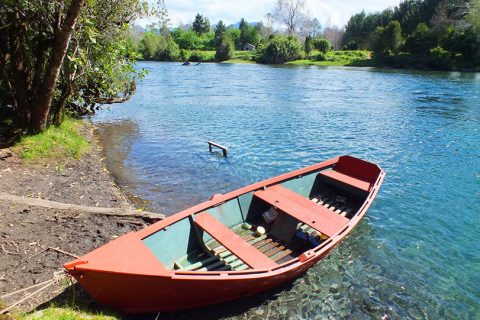 camping los canelos