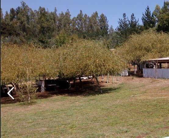 Camping El Corralito
