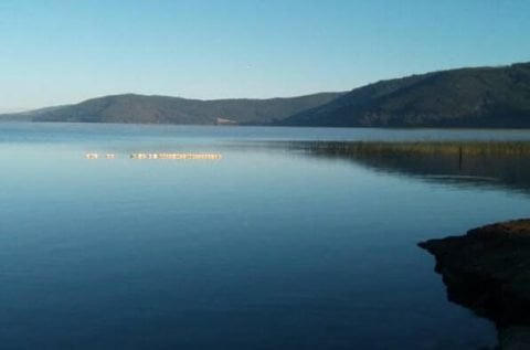 camping-piedra-lisa