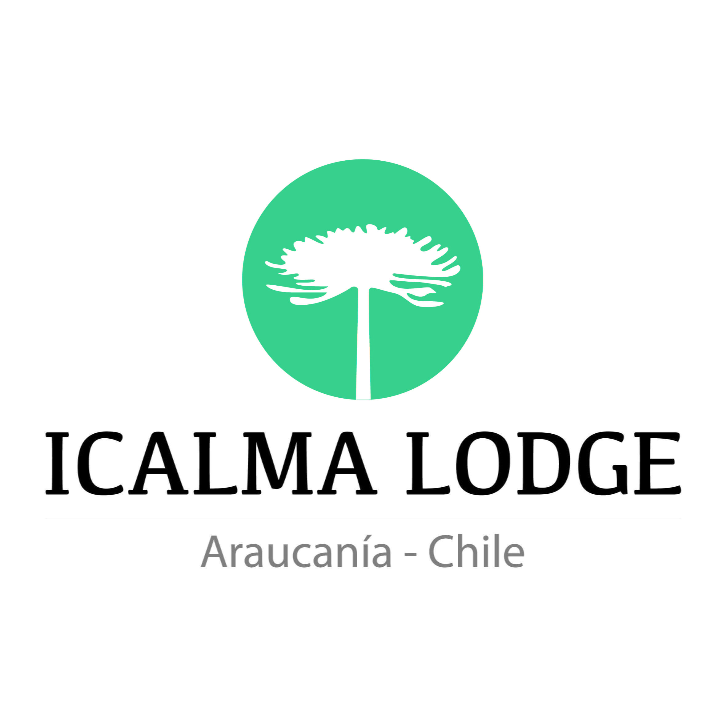 LOGO-ICALMA