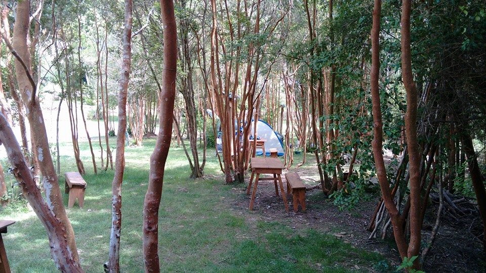 12472264_1016315015098625_4372489878964626267_n