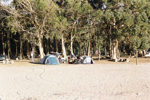 Á Camping El Bosque Campingchile 2021