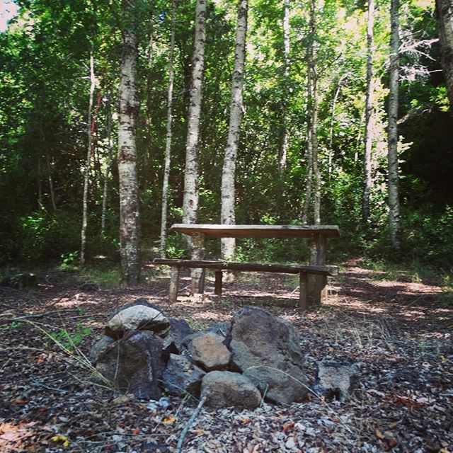 26355615_675986775905035_2929878392700403712_n