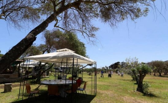Camping El Oasis Los Choros