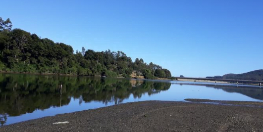 Camping Don Guillermo