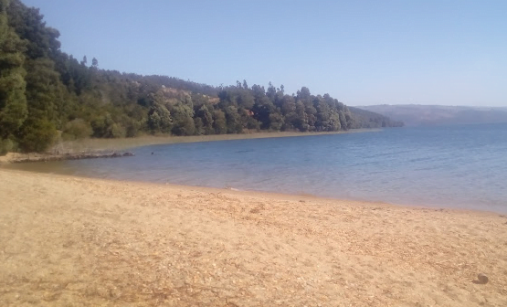 Camping Libko