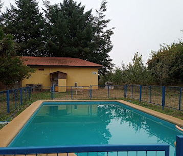 Camping Pino Mahuida