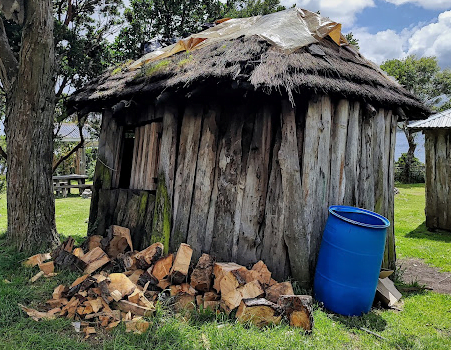 Camping Tronco De Oro