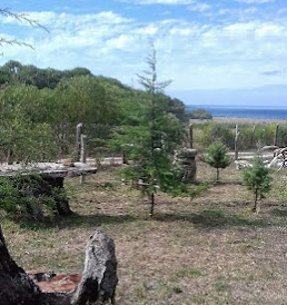 Camping Y Hospedaje Familiar Las Bandurrias