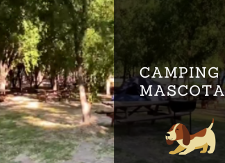 Los 7 Campings que Aceptan Mascotas Cerca de Santiago