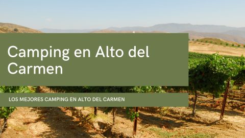 Camping en Alto del Carmen