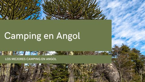 Camping en Angol