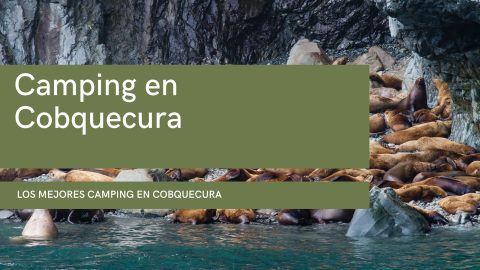 Camping en Cobquecura