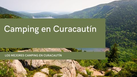 Camping en Curacautin