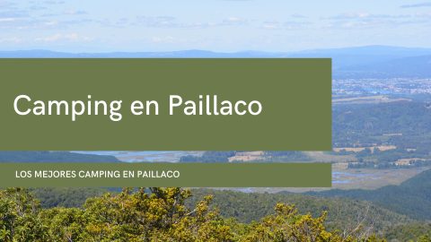 Camping en Paillaco