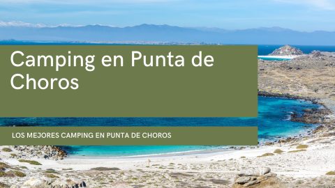 Camping en Punta de Choros