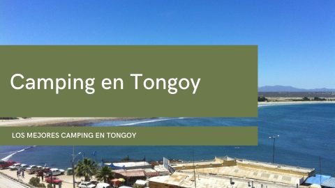 Camping en Tongoy