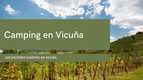 Camping en Vicuña