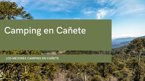 Camping en Cañete