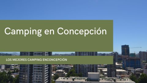 Camping en Concepción