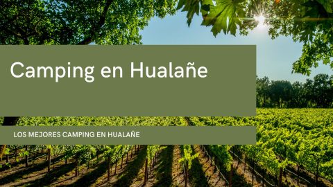 Camping en Hualañe