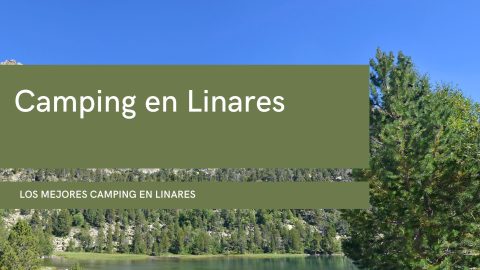 Camping en Linares