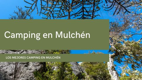 Camping en Mulchén