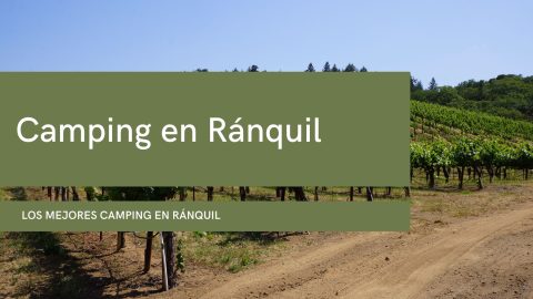 Camping en Ránquil