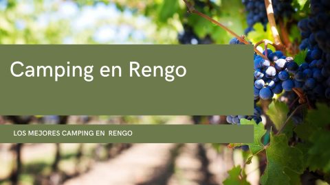 Camping en Rengo