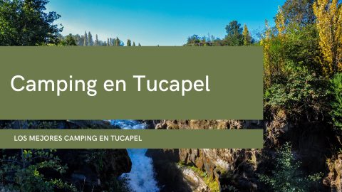 Camping en Tucapel